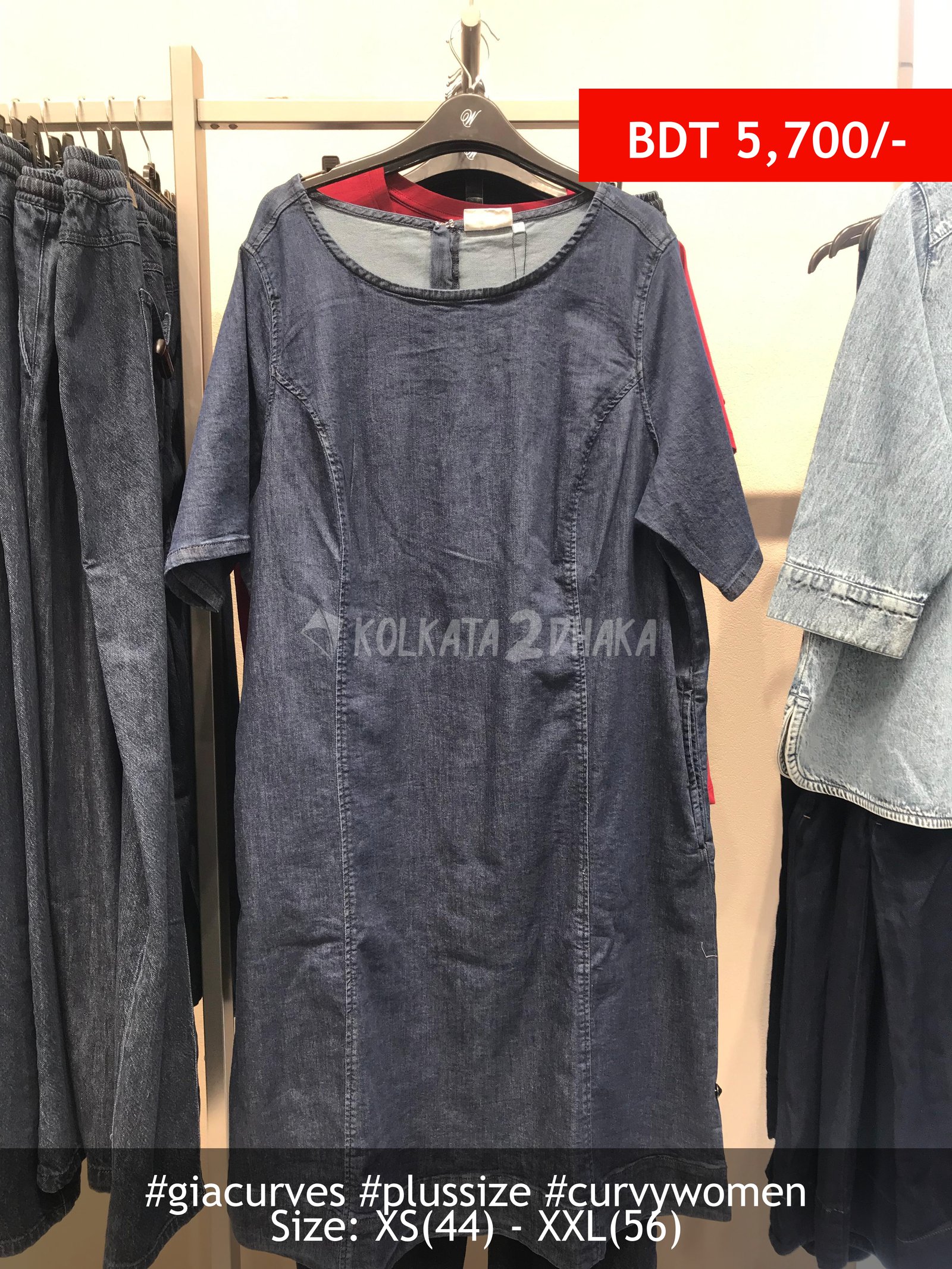 Gia Curves Dark Wash Denim Dress