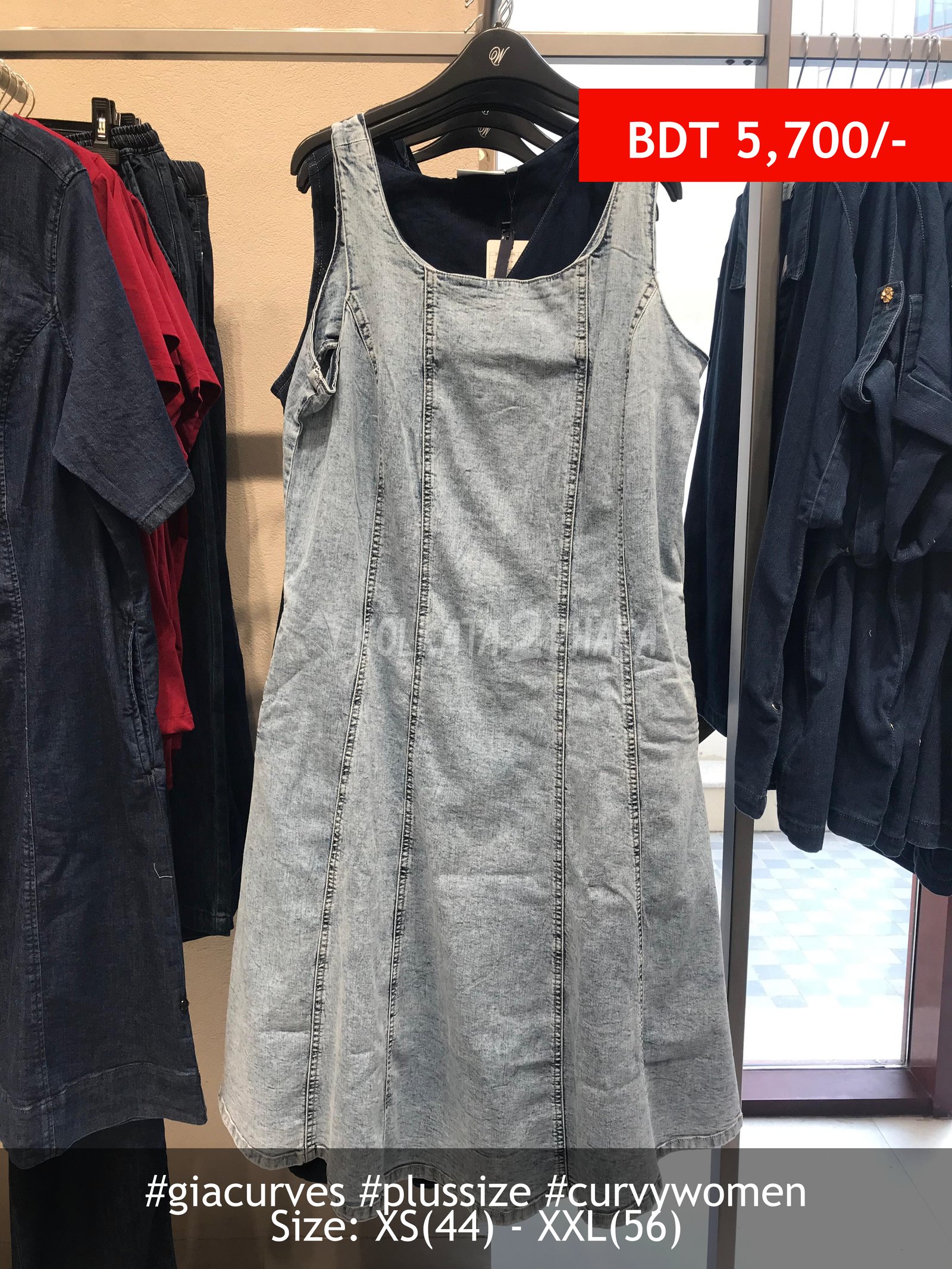 Gia Curves Acid Wash Denim Dress