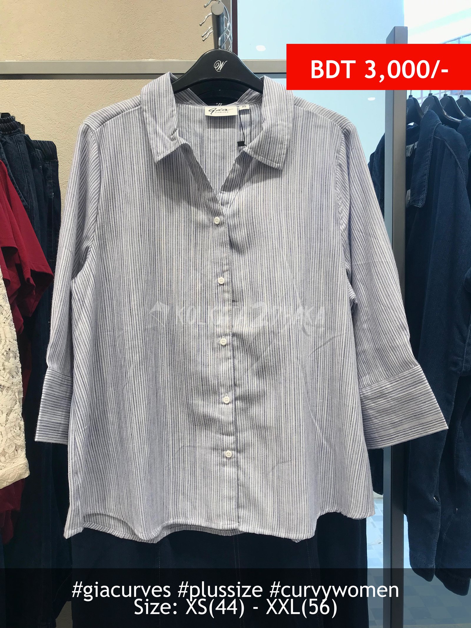 Gia Curves Blue White Shirt