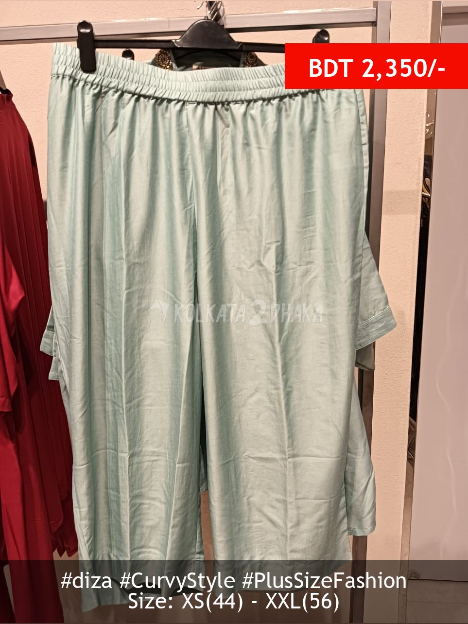 Diza pale blue pant