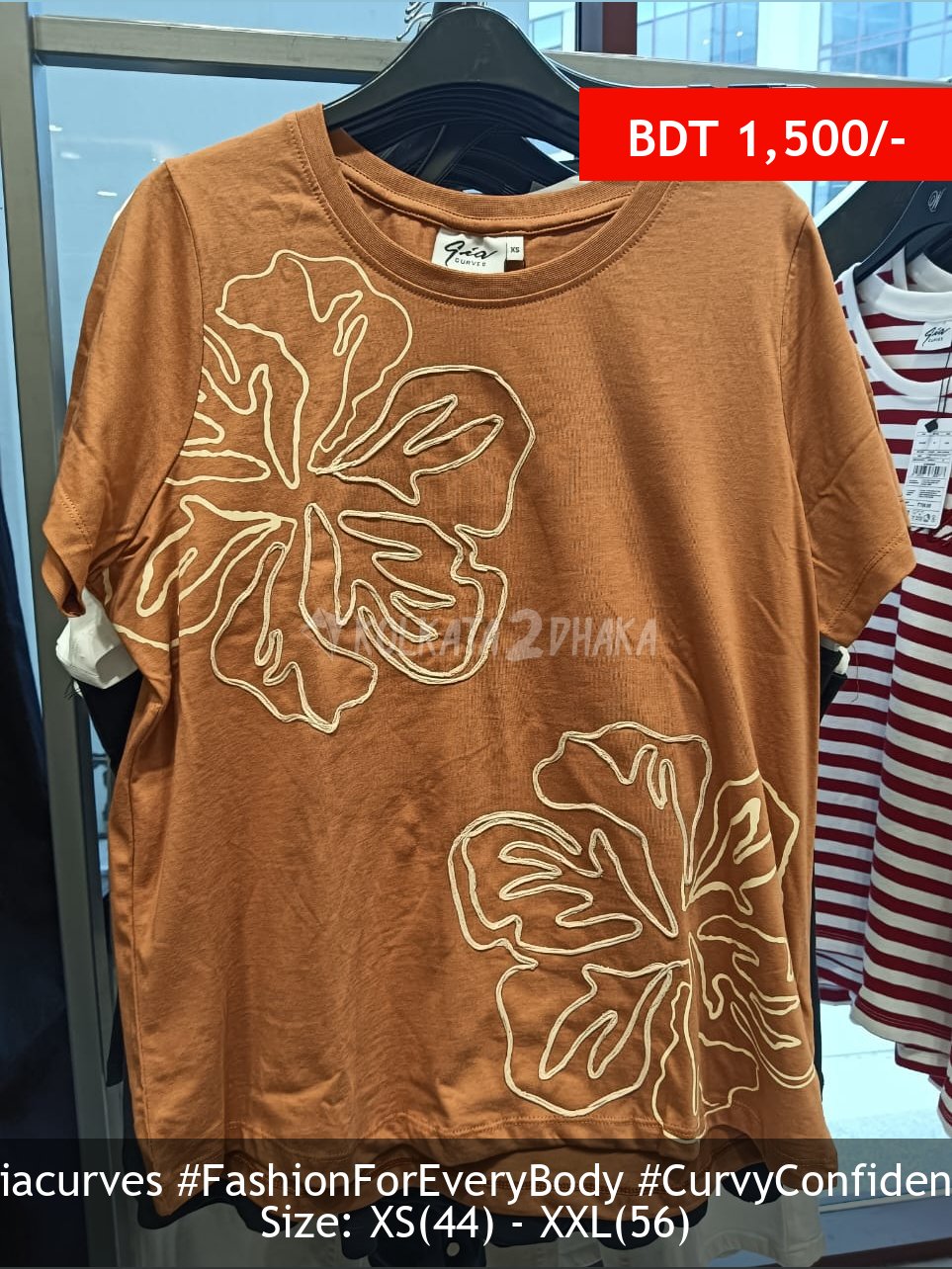 Gia Curves cinnamon tee shirt