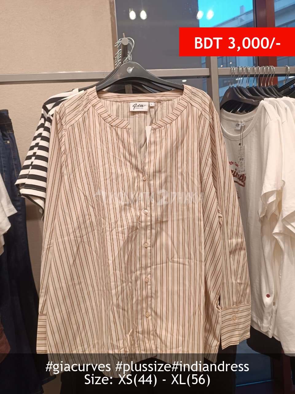 Gia Curves Cream Shirt