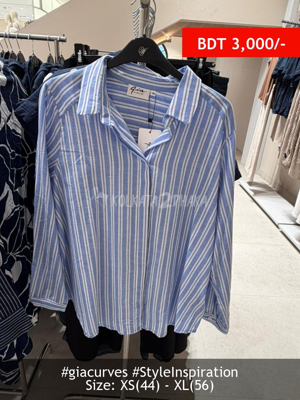 Gia Curves Whiteblue Blouse