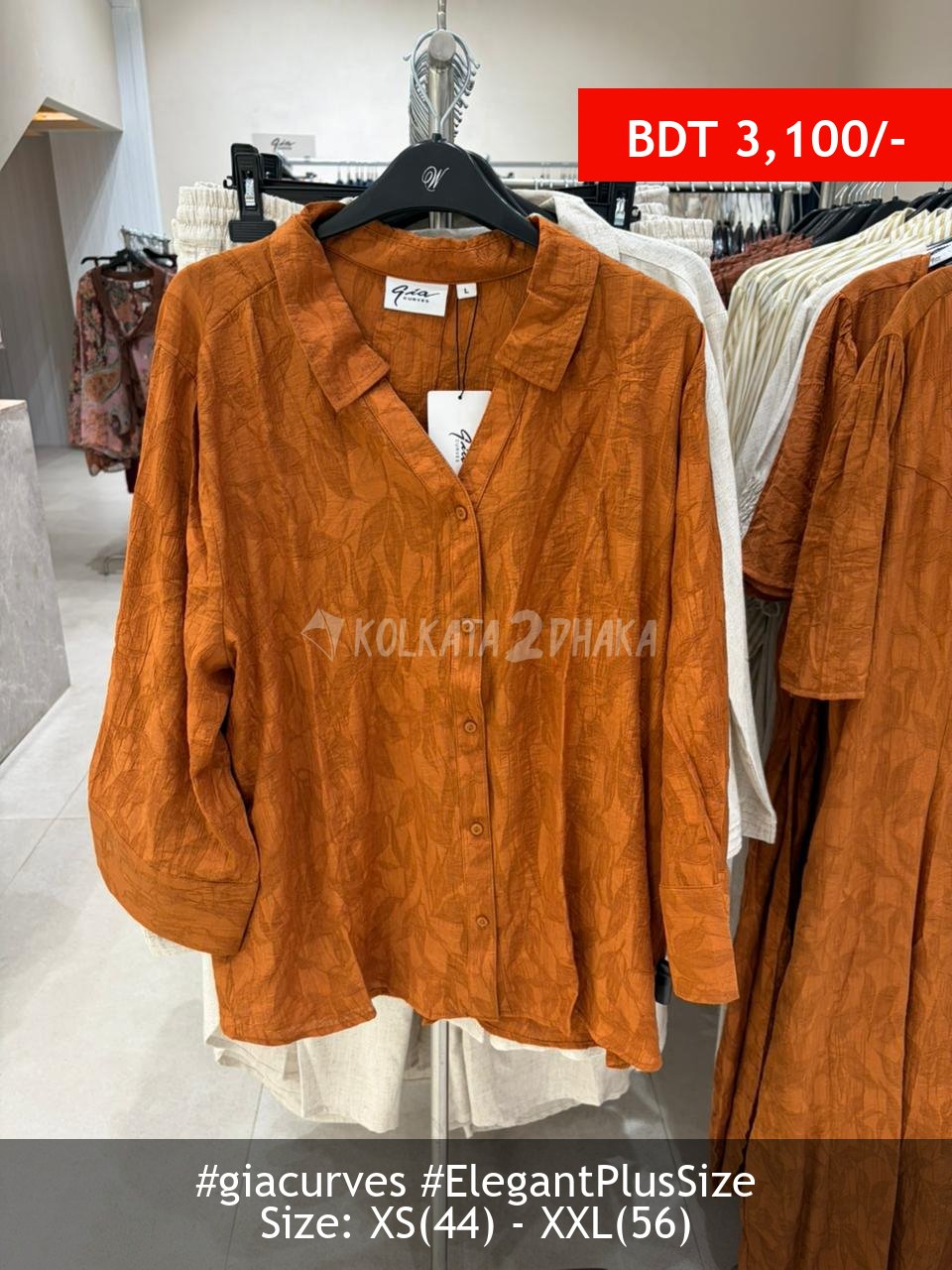 Gia Curves rust blouse