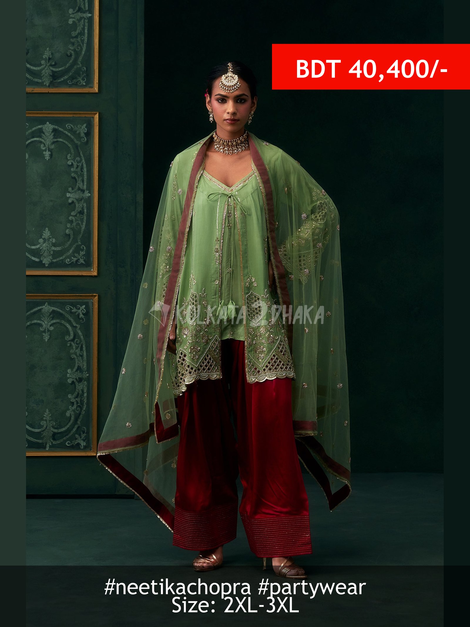 Neetika Chopra Aaira Organza Embroidered Jacket Set