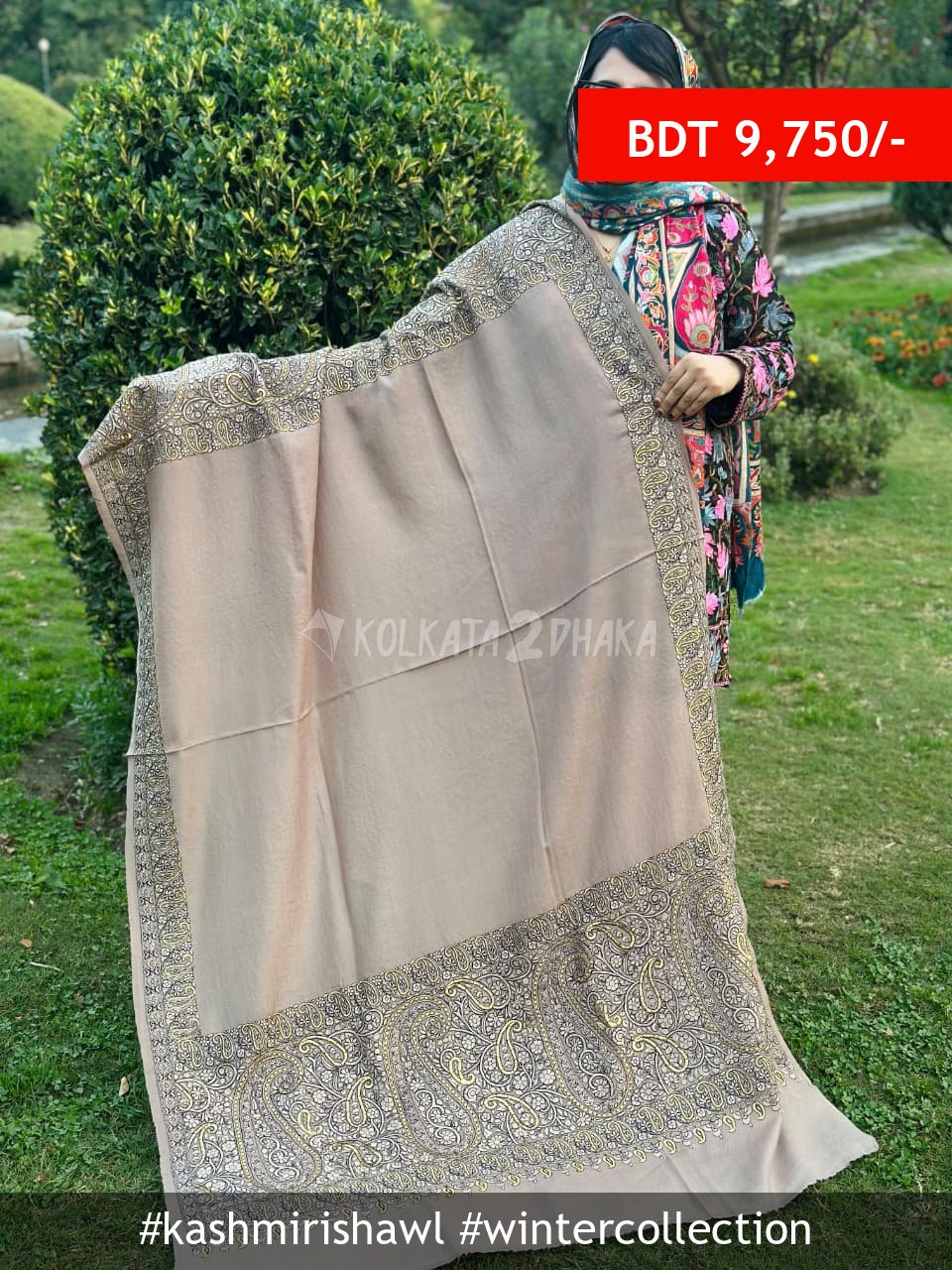 Kashmiri Shawl Kashmiri Premium Shawl