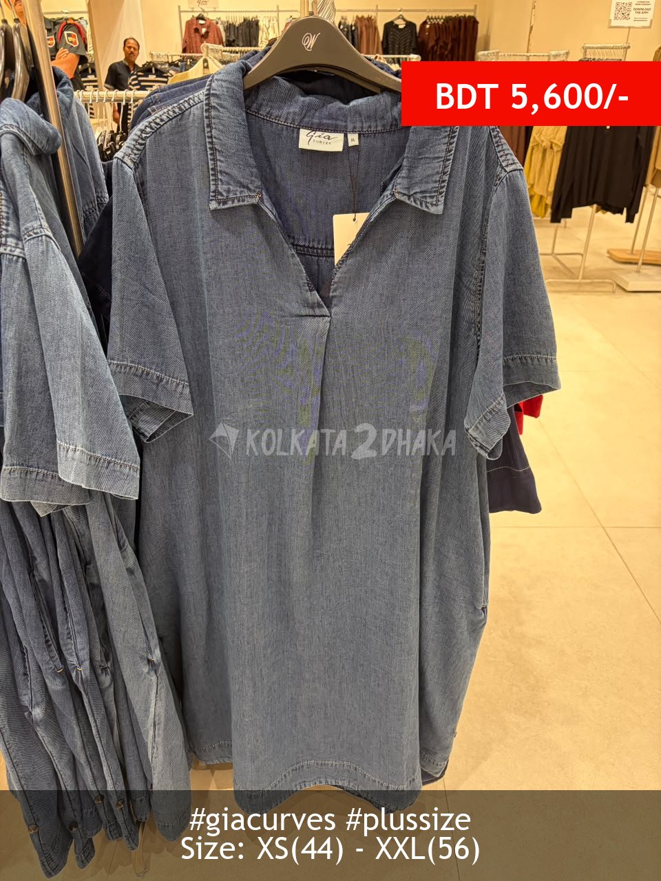 Gia Curves Denim dress